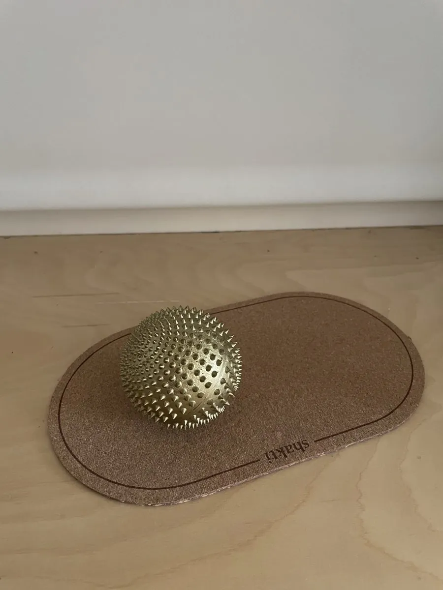 Stachelball
